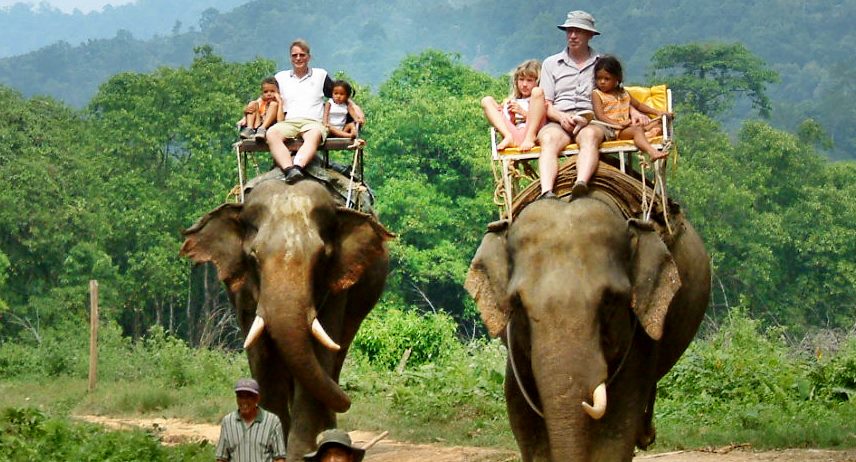 Khao Sok Elephant Trekking