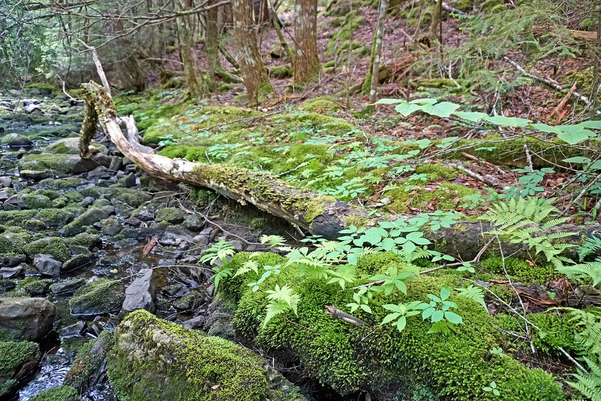 Free Nature Spots in Kuta & Legian: 2026 Budget Travel Guide